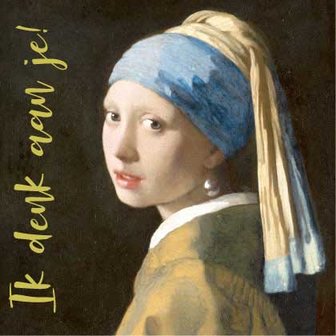 Vermeer 