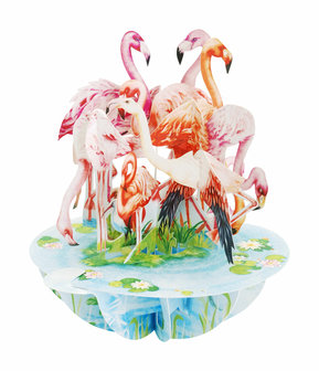 Flamingos