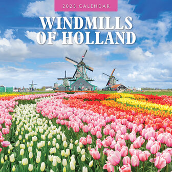 Windmills of Holland wall calendar 2025