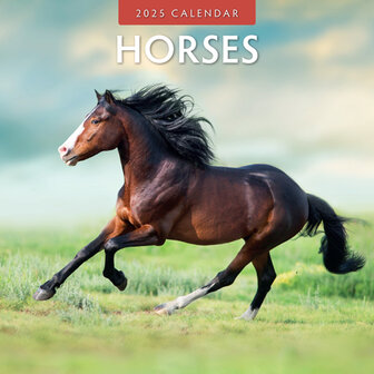 Horses calendar 2025