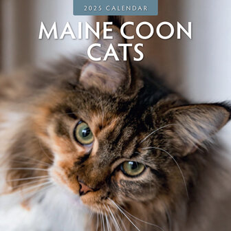 Maine Coon Cats calendar 2025