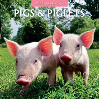 Pigs &amp; Piglets calendar 2025