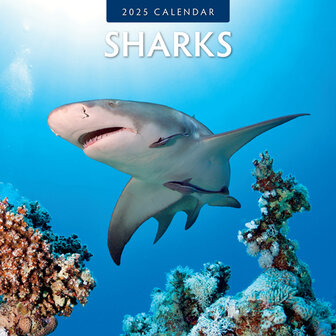 Sharks calendar 2025