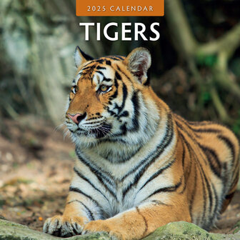 Tigers kalender 2025