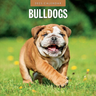 Bulldogs calendar 2025