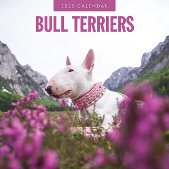 Bull Terriers kalender 2025