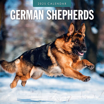 German Shepherds calendar 2025