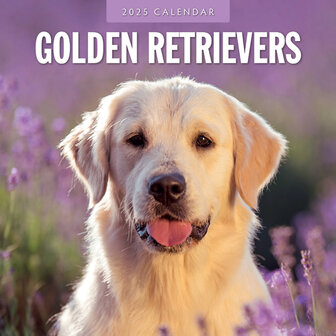 Golden Retrievers calendar 2025