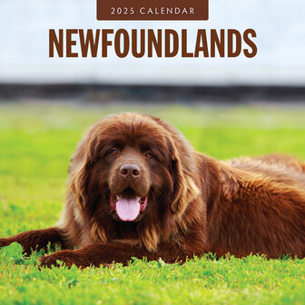 Newfoundlands calendar 2025