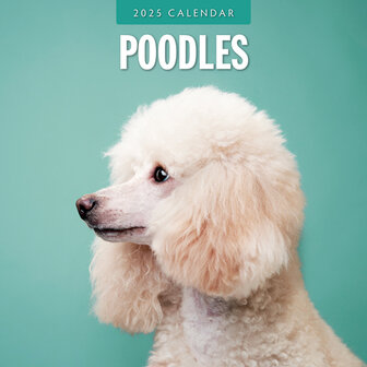 Poodles kalender 2025