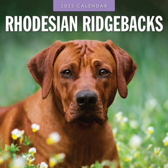 Rhodesian Ridgebacks calendar 2025