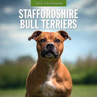 Staffordshire Bull Terriers calendar 2025