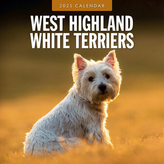 West Highland White Terriers kalender 2025