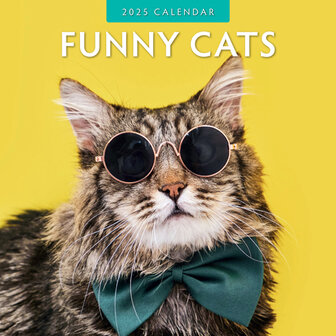 Funny Cats calendar 2025