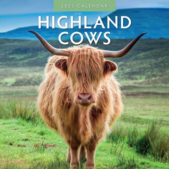 Highland Cows calendar 2025