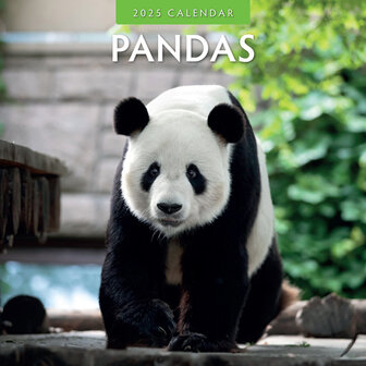 Pandas calendar 2025