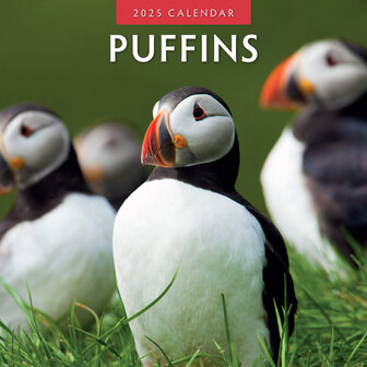 Puffins calendar 2025