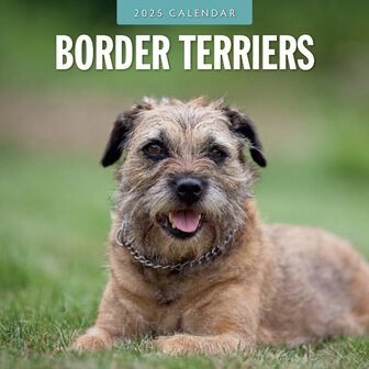 Border Terriers calendar 2025