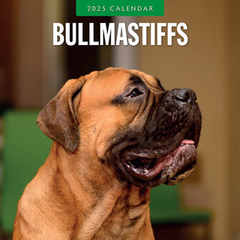 Bullmastiffs kalender 2025