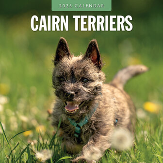 Cairn Terriers calendar 2025