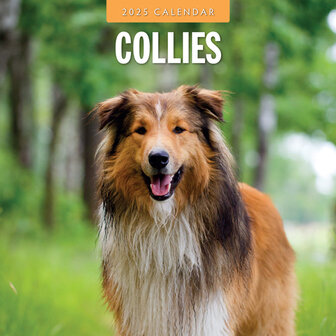 Collies kalender 2025