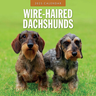 Wiire-Haired Dachshunds kalender 2025