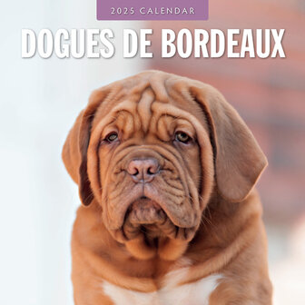 Dogues de Bordeaux calendar 2025