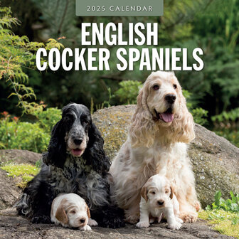 English Cocker Spaniels kalender 2025