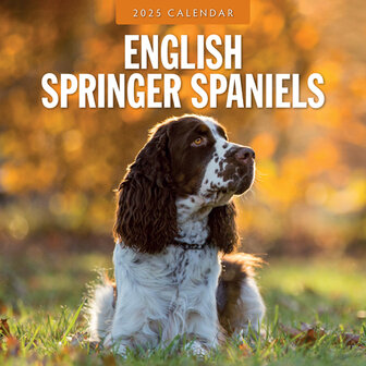 English Springer Spaniels calendar 2025