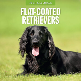 Flat Coated Retrievers calendar 2025