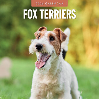 Fox Terriers kalender 2025