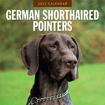 German Shorthaired Pointers calendar 2025