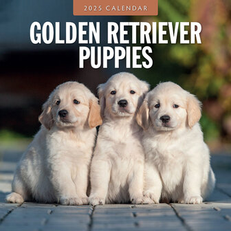 Golden Retriever Puppies calendar 2025