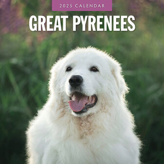 Great Pyrenees calendar 2025