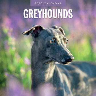 Greyhounds calendar 2025