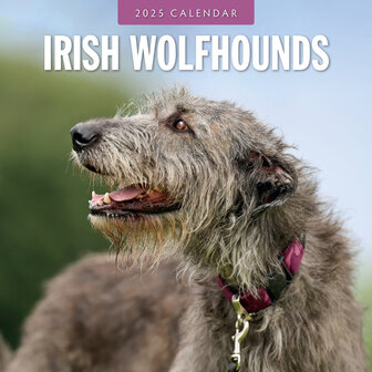 Irish Wolf Hounds calendar 2025