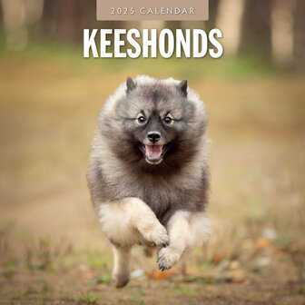 Keeshonds calendar 2025