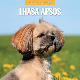 Lhasa Apsos kalender 2025