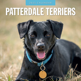 Patterdale Terriers calendar 2025