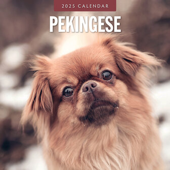 Pekingese calendar 2025