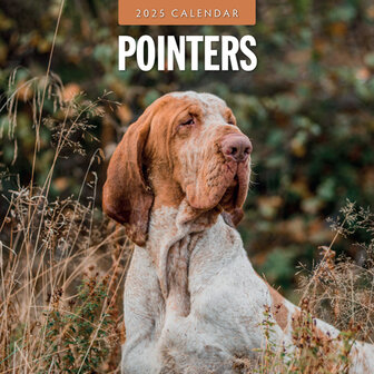 Pointers calendar 2025