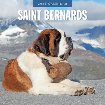 Saint Bernards calendar 2025