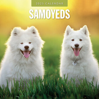 Samoyeds kalender 2025