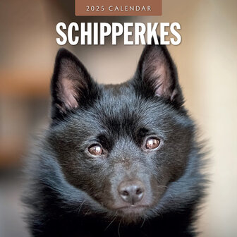 Schipperkes calendar 2025