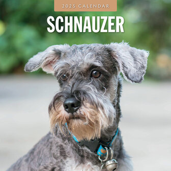 Schnauzer calendar 2025