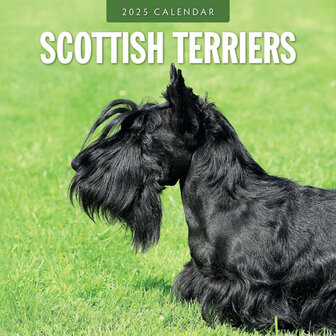 Scottish Terriers calendar 2025