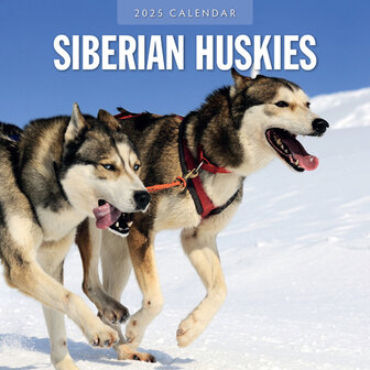 Siberian Huskies calendar 2025