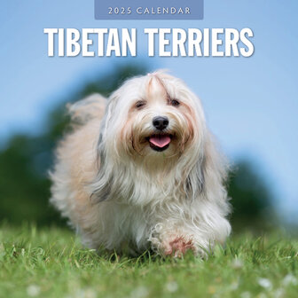 Tibetan Terriers calendar 2025