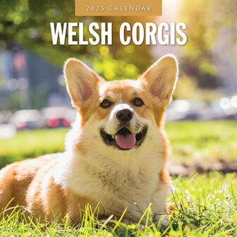 Welsh Corgis calendar 2025