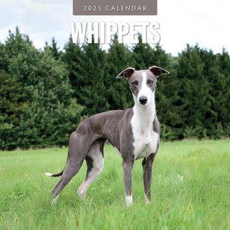 Whippets calendar 2025